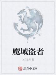 魔域偷天是什么意思