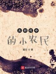 大时代中的小农民 笔趣阁