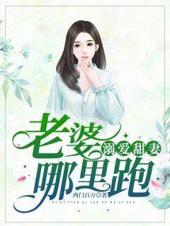 溺爱甜妻老婆哪里跑