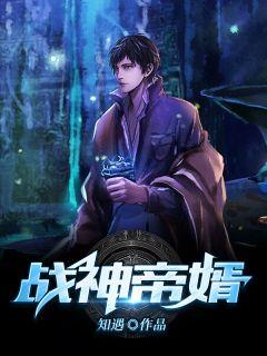 战神帝婿战天全文免费阅读无弹窗