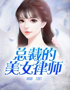 总裁与律师的