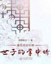 穿成白切黑乱臣