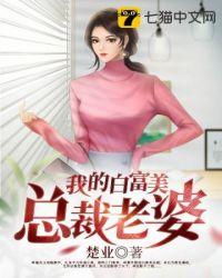 我的白富美总裁老婆秦宇