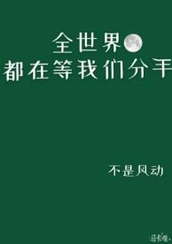 全世界都在等我们分手简介