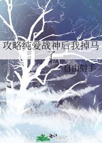 攻略 纯情女