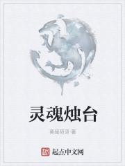 艾尔登法环 灵魂烛台