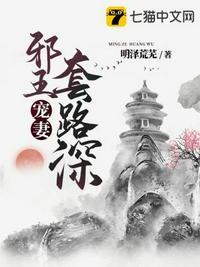 邪王宠妻无下限