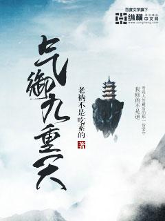 气御九重天修真级别