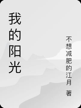 我的阳光之夜简介