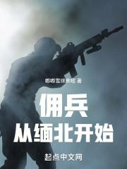 我在缅北当佣兵的