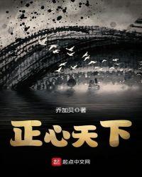 心易天下2011