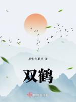 双鹤湖中央公园音乐喷泉