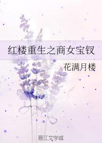 红楼重生之商女宝钗花满月楼