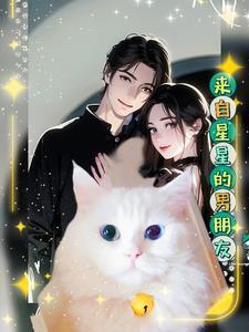 猪宝子男朋友星星