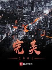 完美2001全文免费阅读