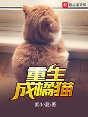 重生成橘猫的