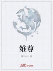 维尊镜片属于什么档次