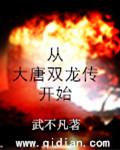 从大唐双龙传开始的无限